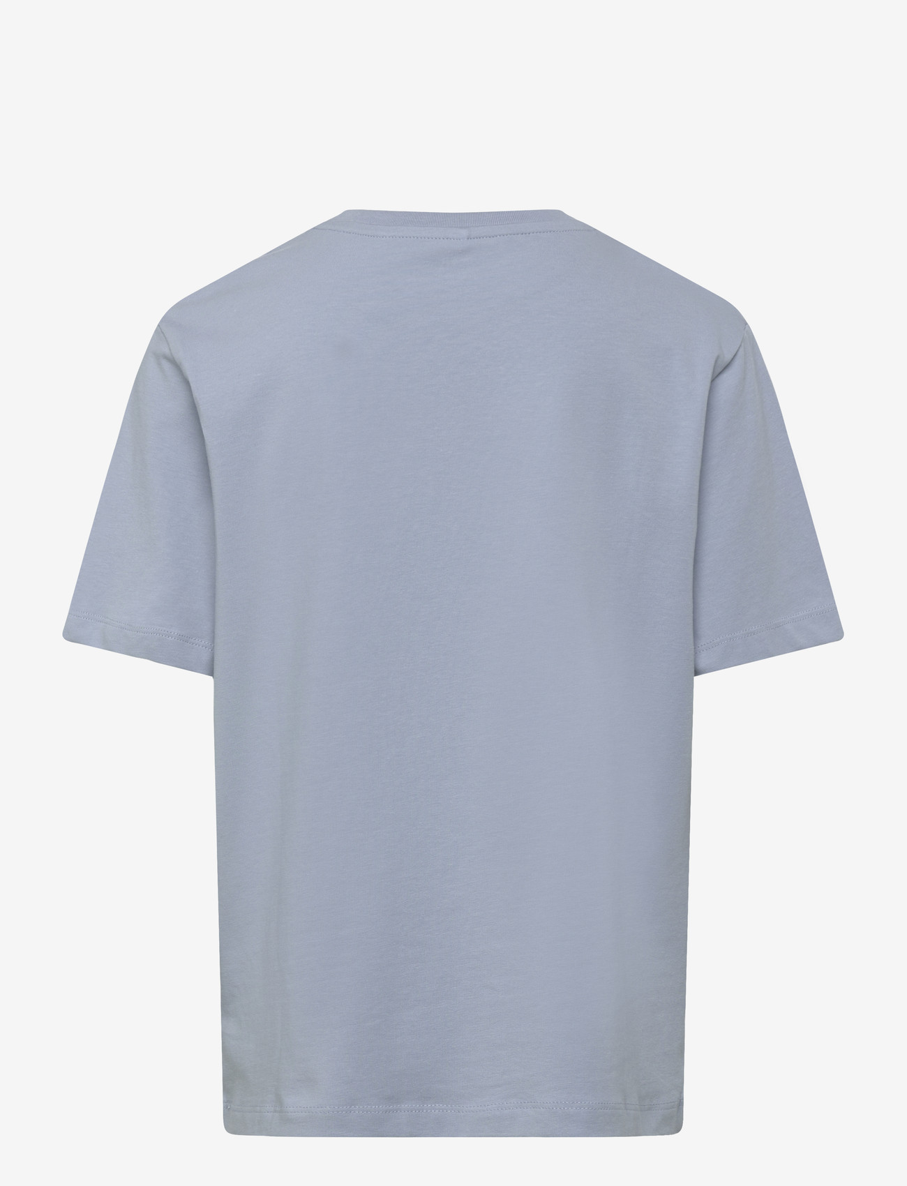name it - NKMACTIS SONIC SS NREG TOP BOX SKY - short-sleeved t-shirts - blue fog - 1
