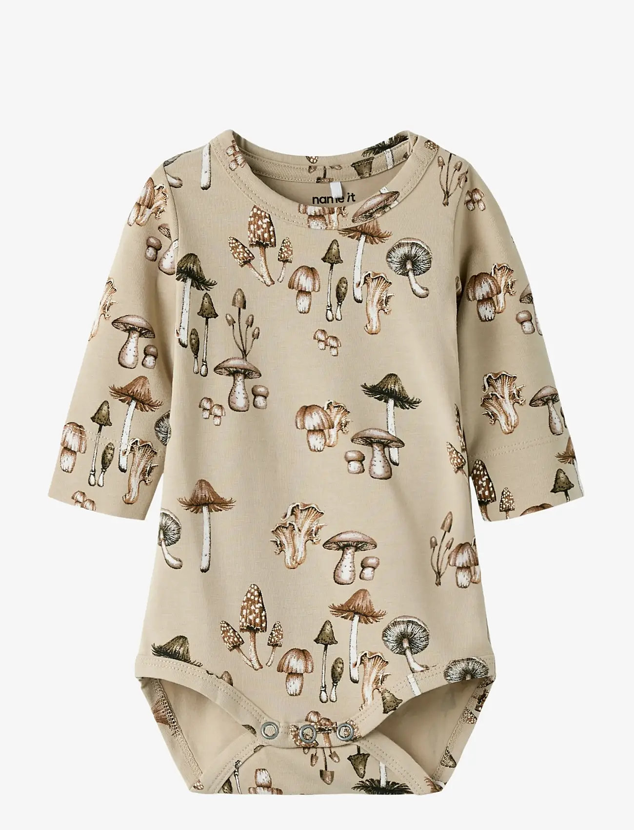 name it - NBMOFEYAN LS BODY - island fossil - 0