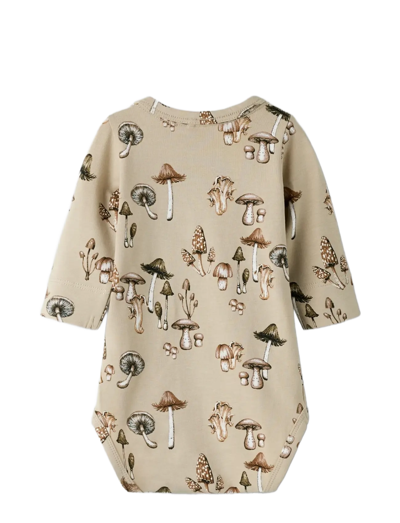 name it - NBMOFEYAN LS BODY - island fossil - 2