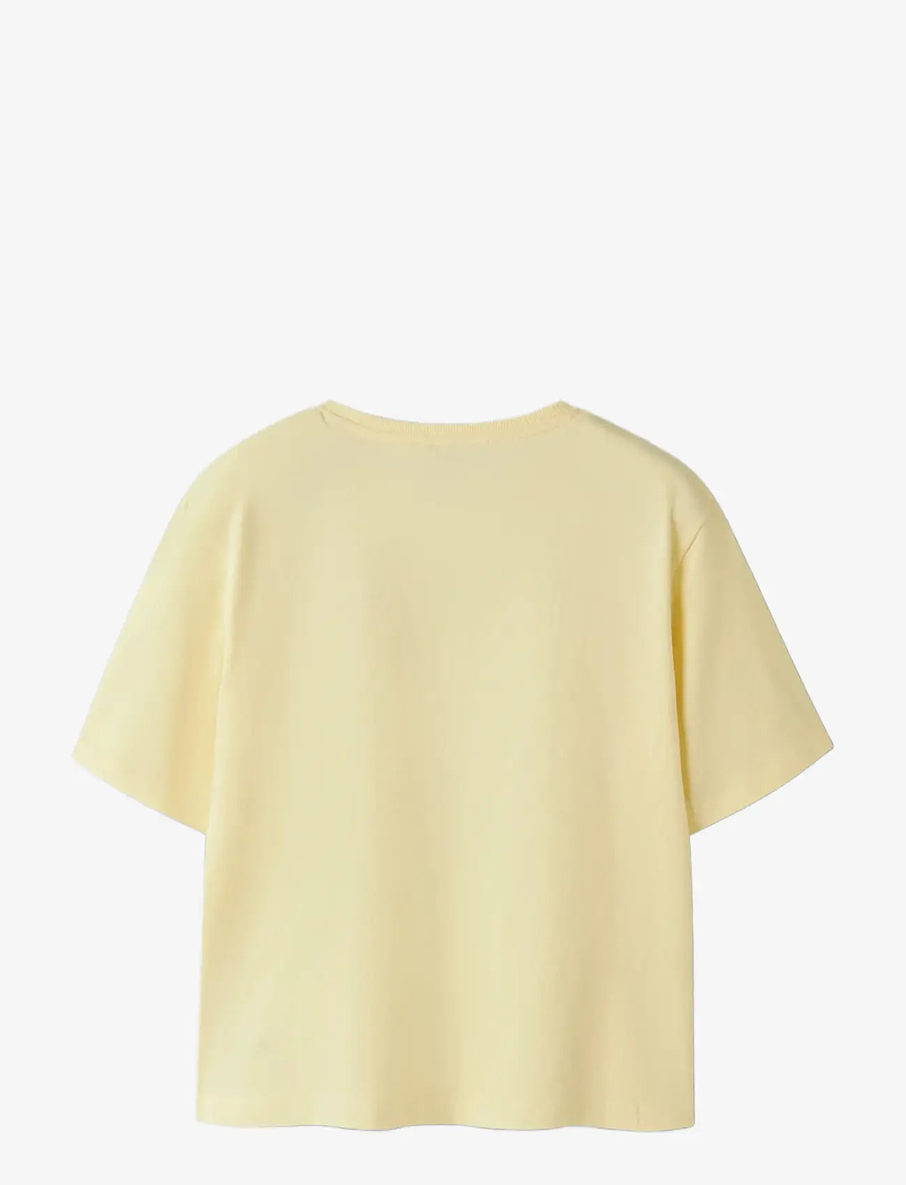 name it - NKFKATELIN SS NREG TOP PB - kortærmede t-shirts - anise flower - 1