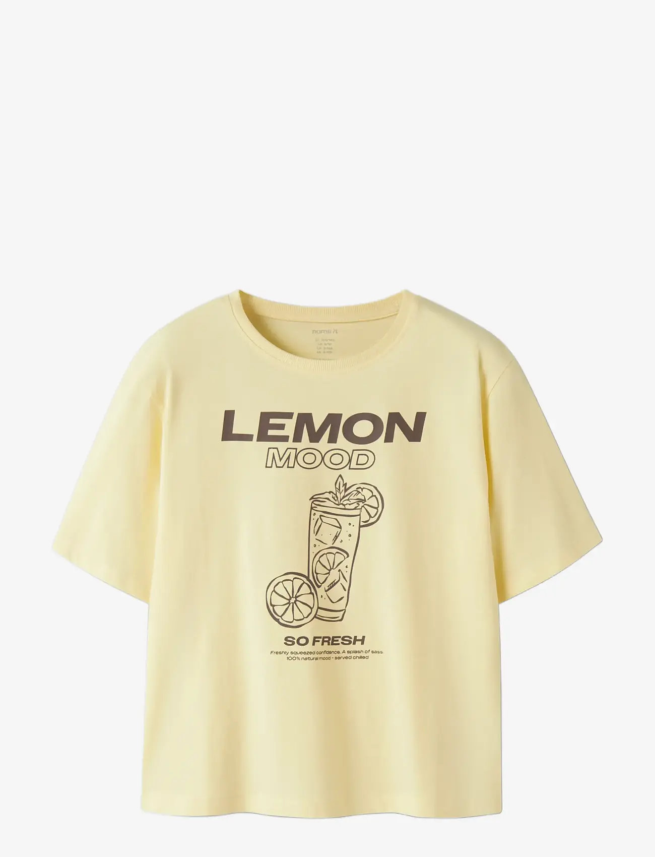 name it - NKFKATELIN SS NREG TOP PB - kortærmede t-shirts - anise flower - 2