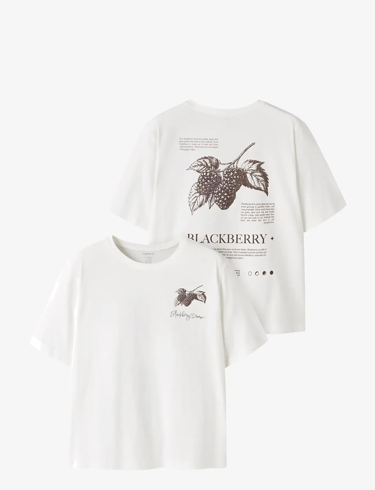 name it - NKFKATELIN SS NREG TOP PB - kortærmede t-shirts - wispy clouds - 0