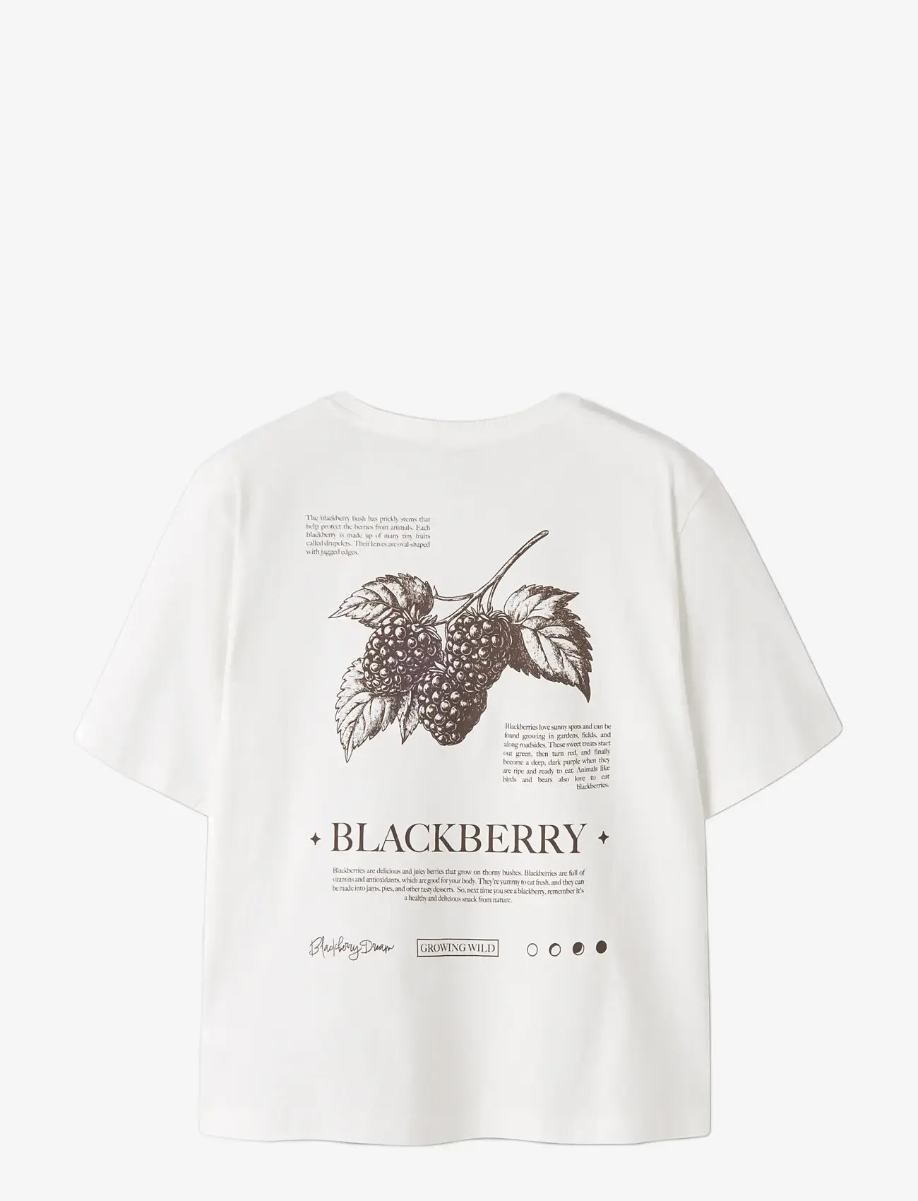 name it - NKFKATELIN SS NREG TOP PB - kortærmede t-shirts - wispy clouds - 1