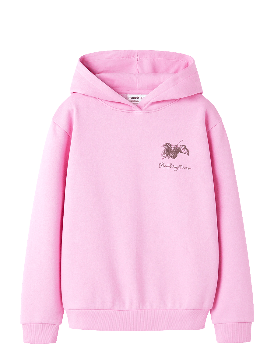 name it - NKFNIKOLISA LS NREG SWE WH BRU PB - kapuzenpullover - begonia pink - 1