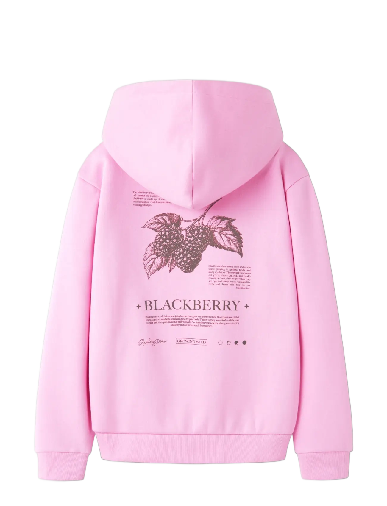 name it - NKFNIKOLISA LS NREG SWE WH BRU PB - kapuzenpullover - begonia pink - 2