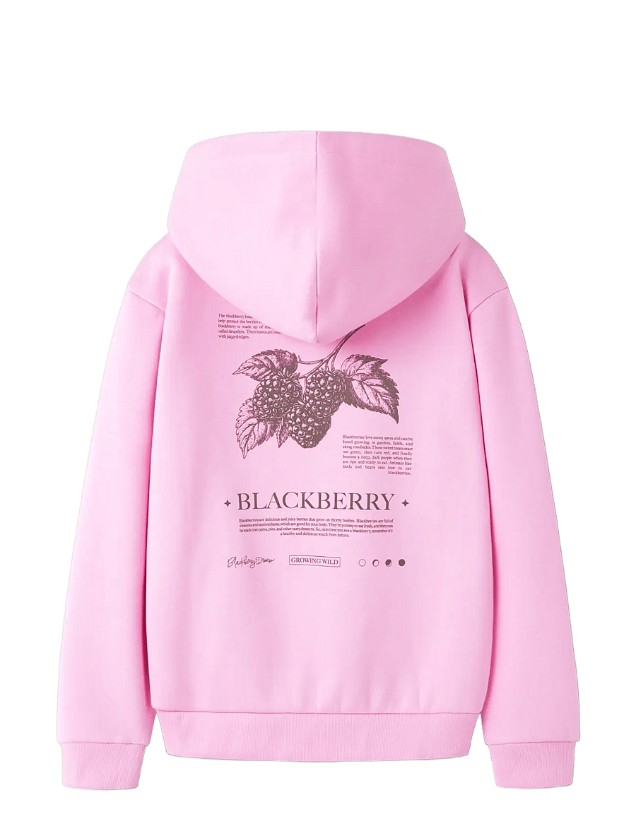 name it - NKFNIKOLISA LS NREG SWE WH BRU PB - kapuzenpullover - begonia pink - 2