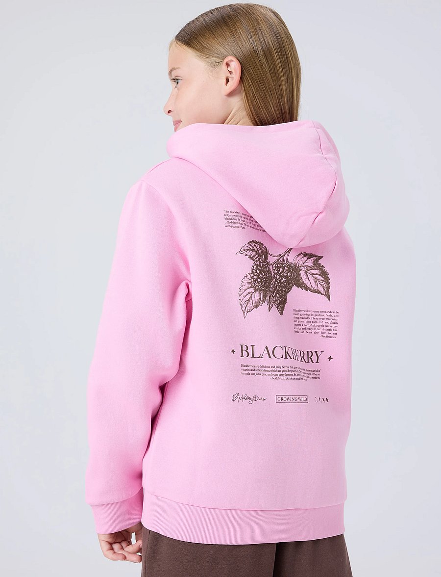 name it - NKFNIKOLISA LS NREG SWE WH BRU PB - kapuzenpullover - begonia pink - 0