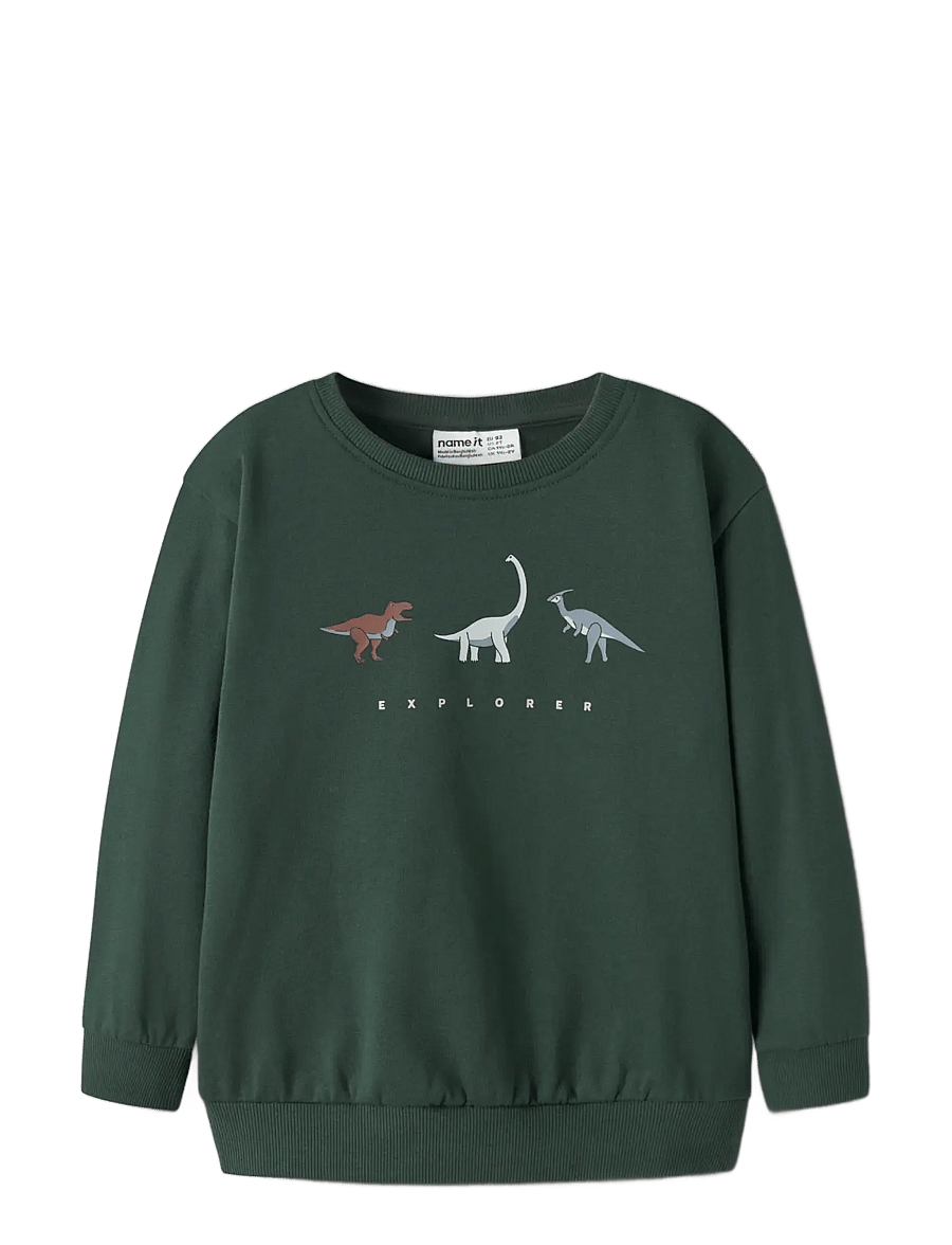 name it - NMMNILIUS LS NREG SWE BRU PB - sweatshirts - sycamore - 2