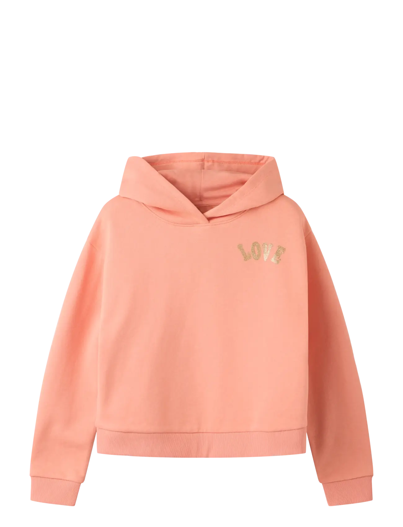 name it NKFKALI LS SH BOXY SWE WH BRU PS NOOS - Kläder - BLOOMING DAHLIA / coral