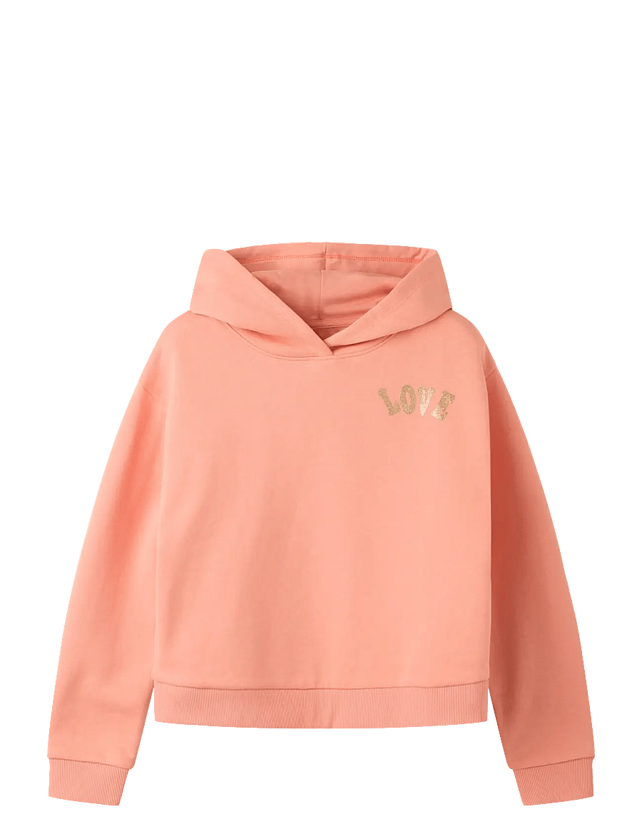 name it - NKFKALI LS SH BOXY SWE WH BRU PS NOOS - hættetrøjer - blooming dahlia - 0