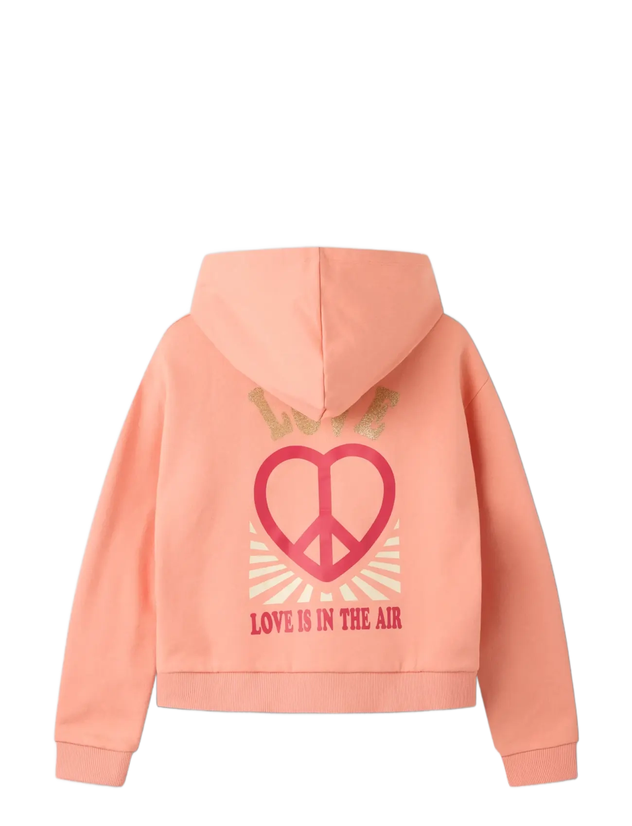 name it - NKFKALI LS SH BOXY SWE WH BRU PS NOOS - hættetrøjer - blooming dahlia - 1