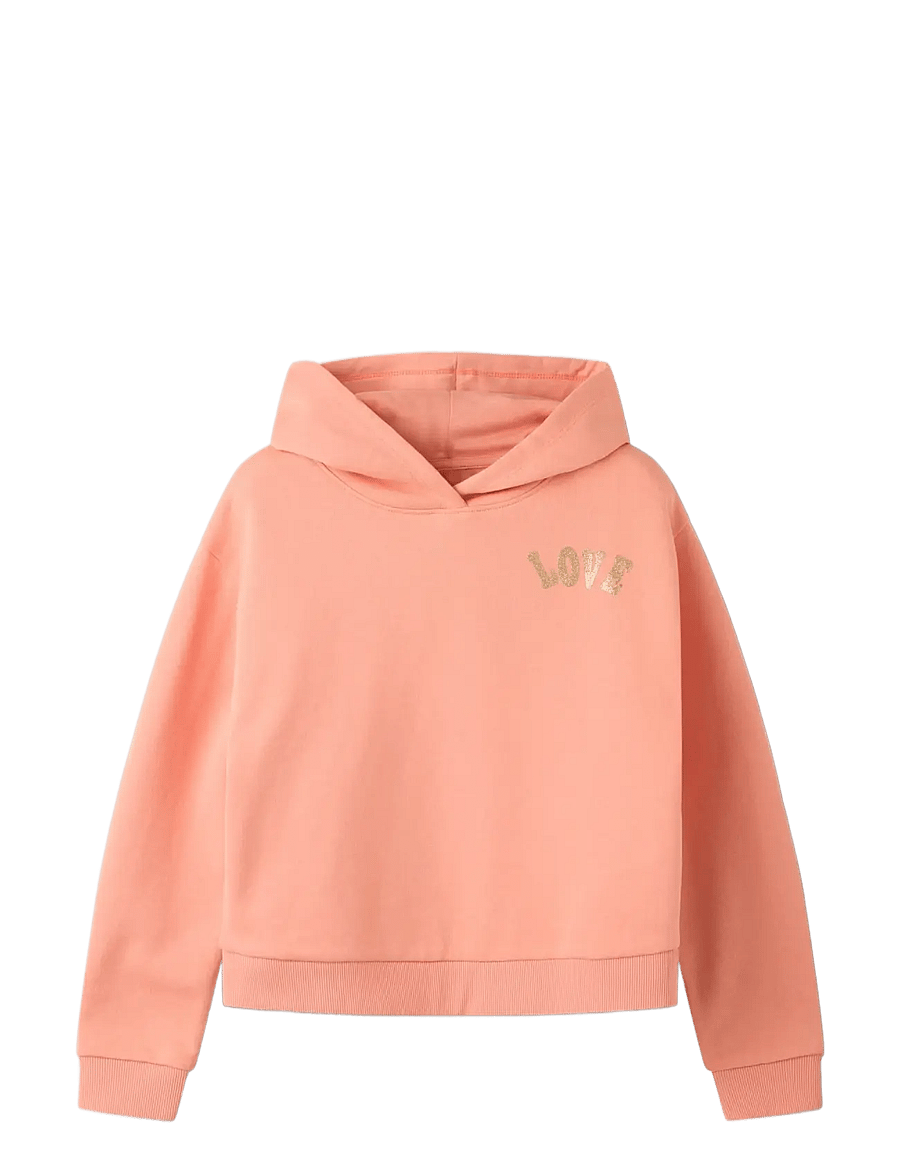 name it - NKFKALI LS SH BOXY SWE WH BRU PS NOOS - huvtröjor - blooming dahlia - 2