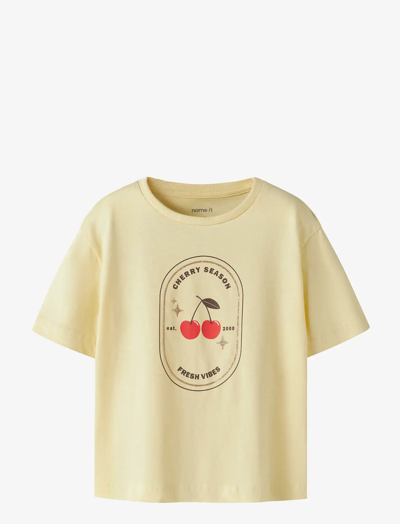 name it - NMFKATRINA SS NREG TOP PB - kortærmede t-shirts - anise flower - 0