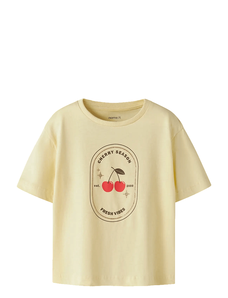 name it - NMFKATRINA SS NREG TOP PB - kortærmede t-shirts - anise flower - 0