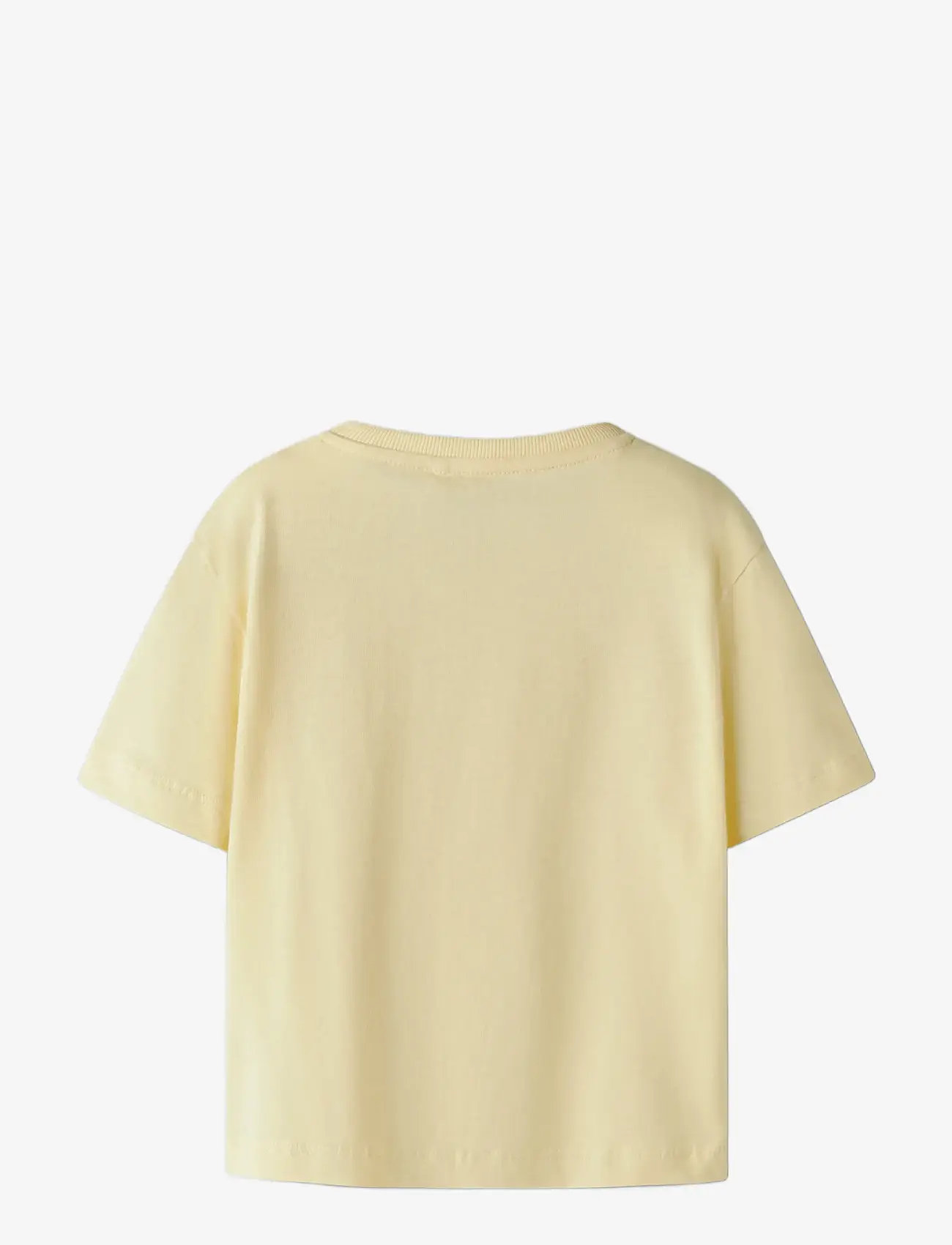 name it - NMFKATRINA SS NREG TOP PB - kortærmede t-shirts - anise flower - 1