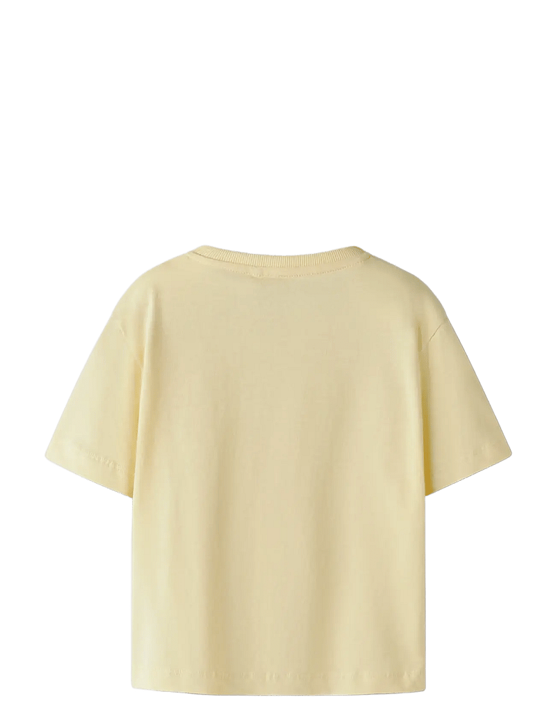 name it - NMFKATRINA SS NREG TOP PB - kortærmede t-shirts - anise flower - 1