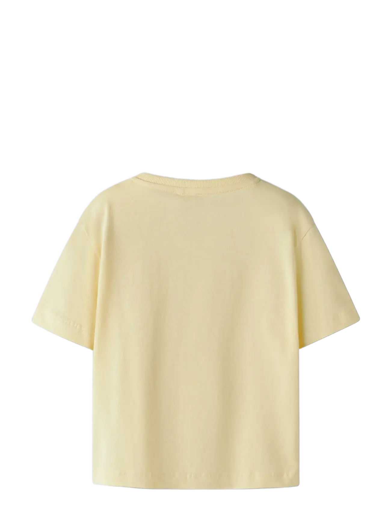 name it - NMFKATRINA SS NREG TOP PB - kortærmede t-shirts - anise flower - 1