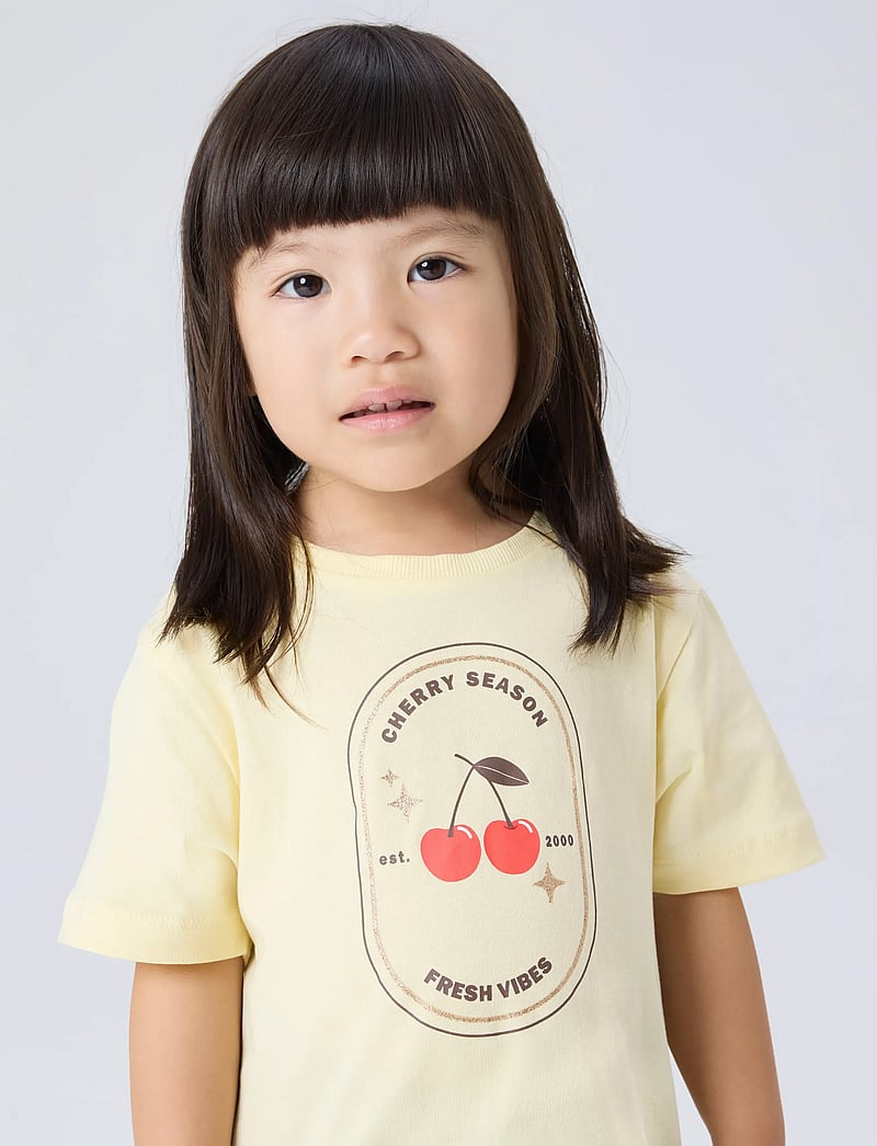 name it - NMFKATRINA SS NREG TOP PB - kortærmede t-shirts - anise flower - 3