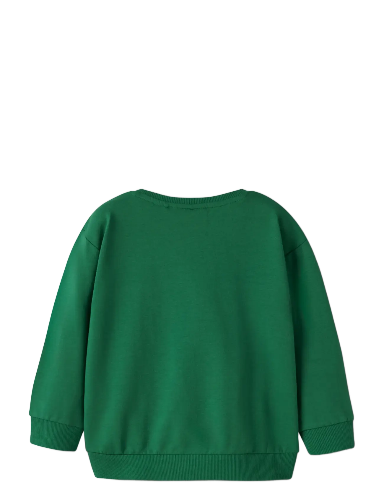 name it - NMMJUST BLUEY NREG SWEAT UNB NOOS SKY - sweatshirts - verdant green - 1