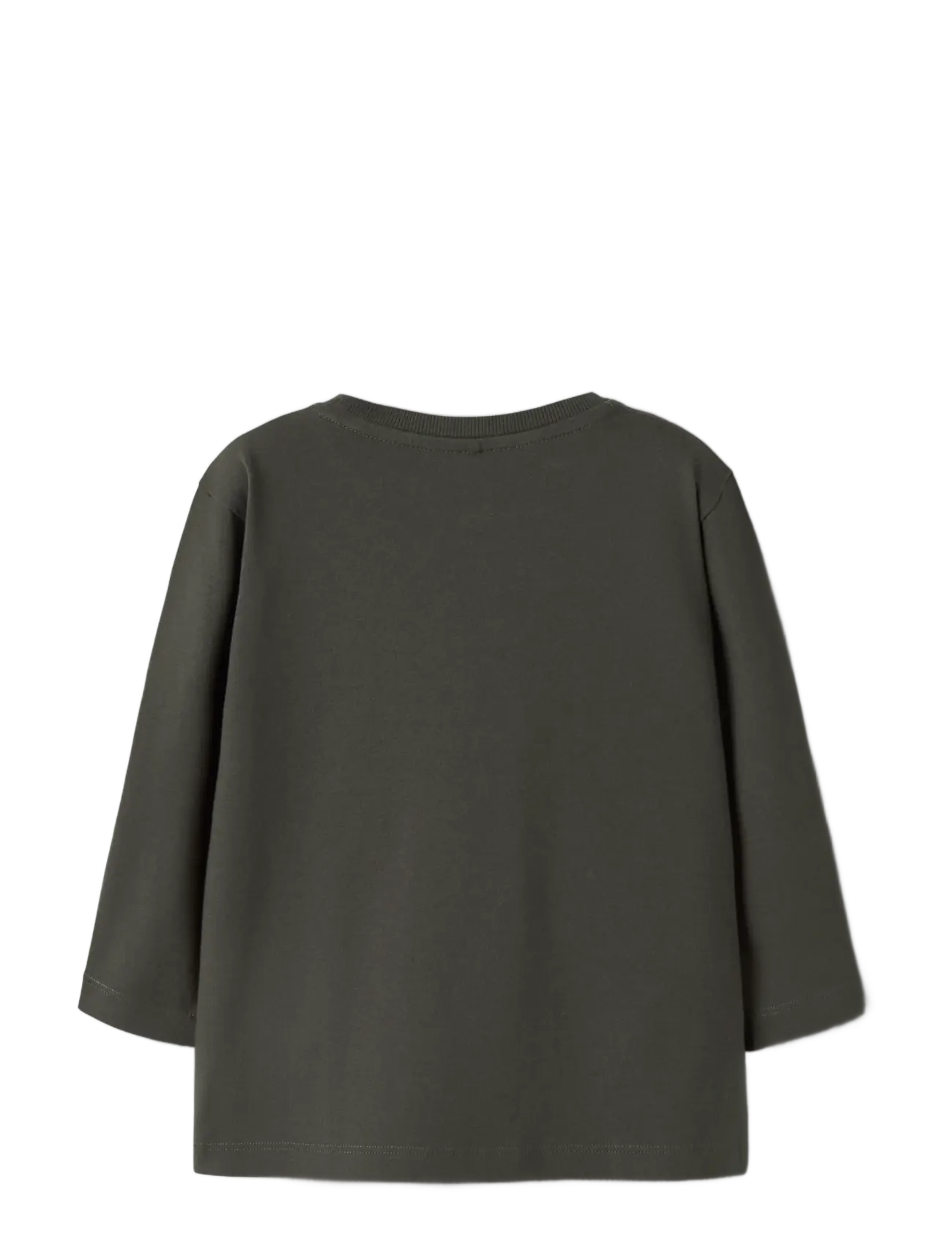 name it - NMMLEONEL LS NREG TOP - peat - 1