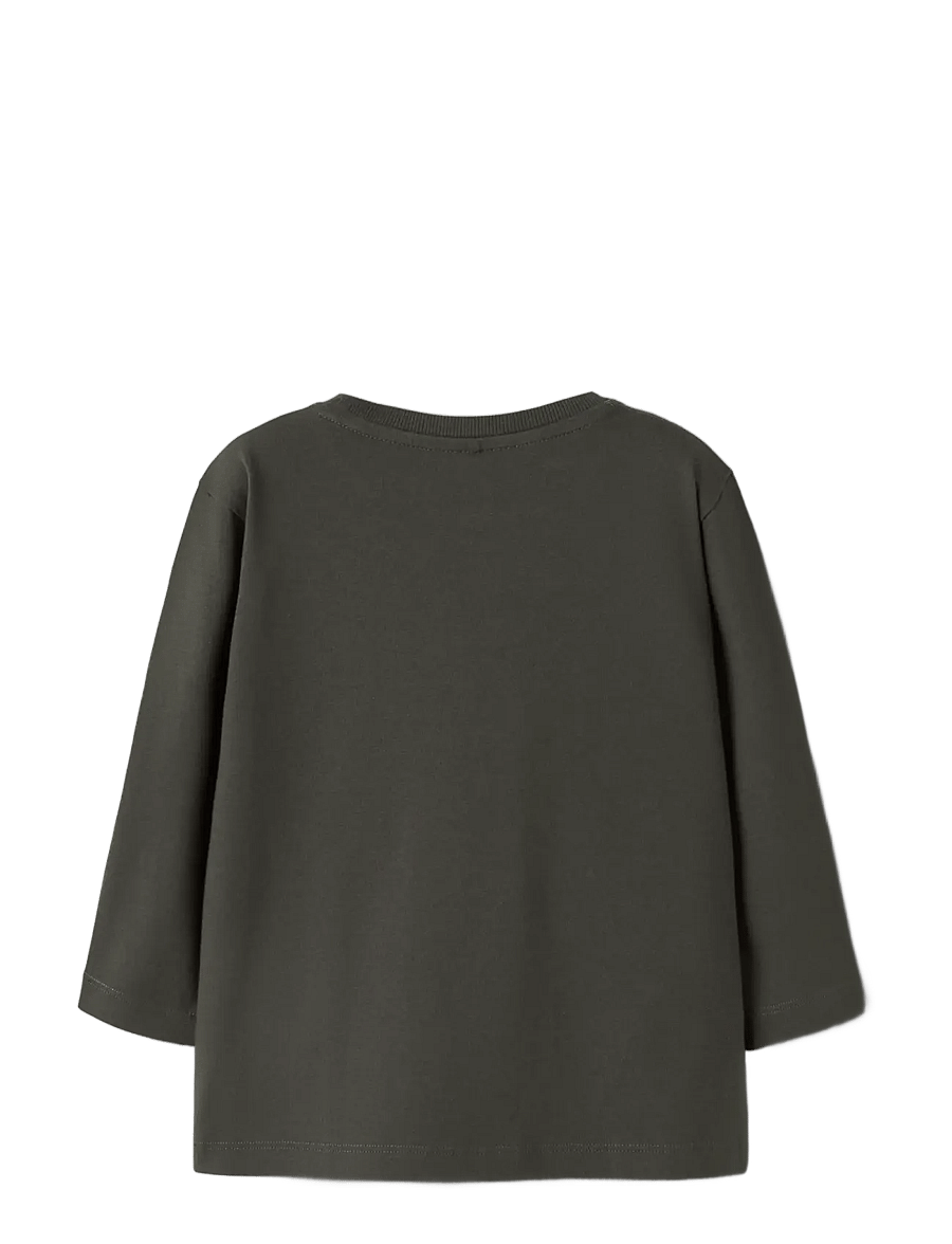 name it - NMMLEONEL LS NREG TOP - peat - 1