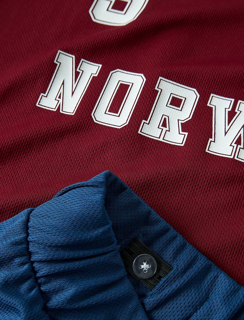 name it - NKNHITEAM SHORT SET - sportstoppe - rhubarb - 3