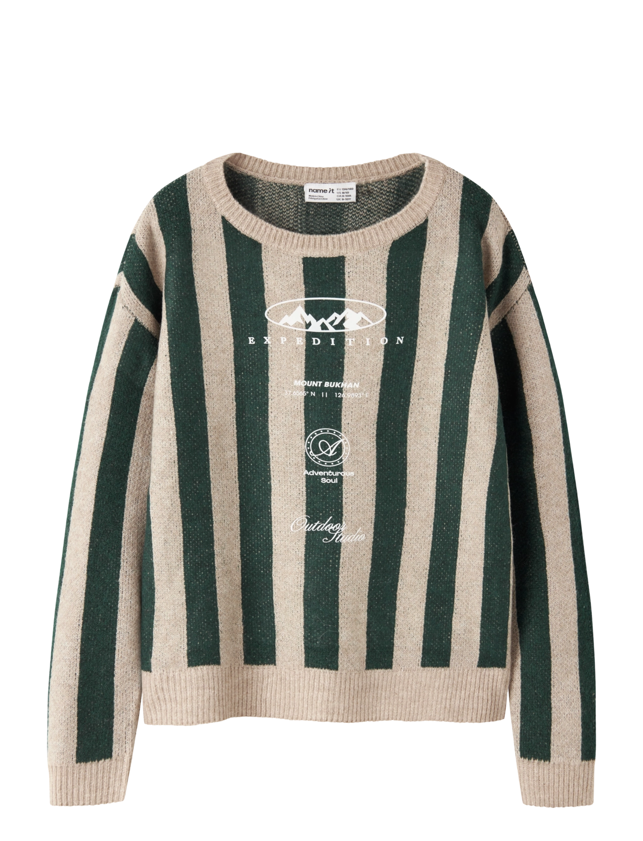 name it NKMOLENS LS LOOSE KNIT BF - Kleidung - PINE GROVE / green