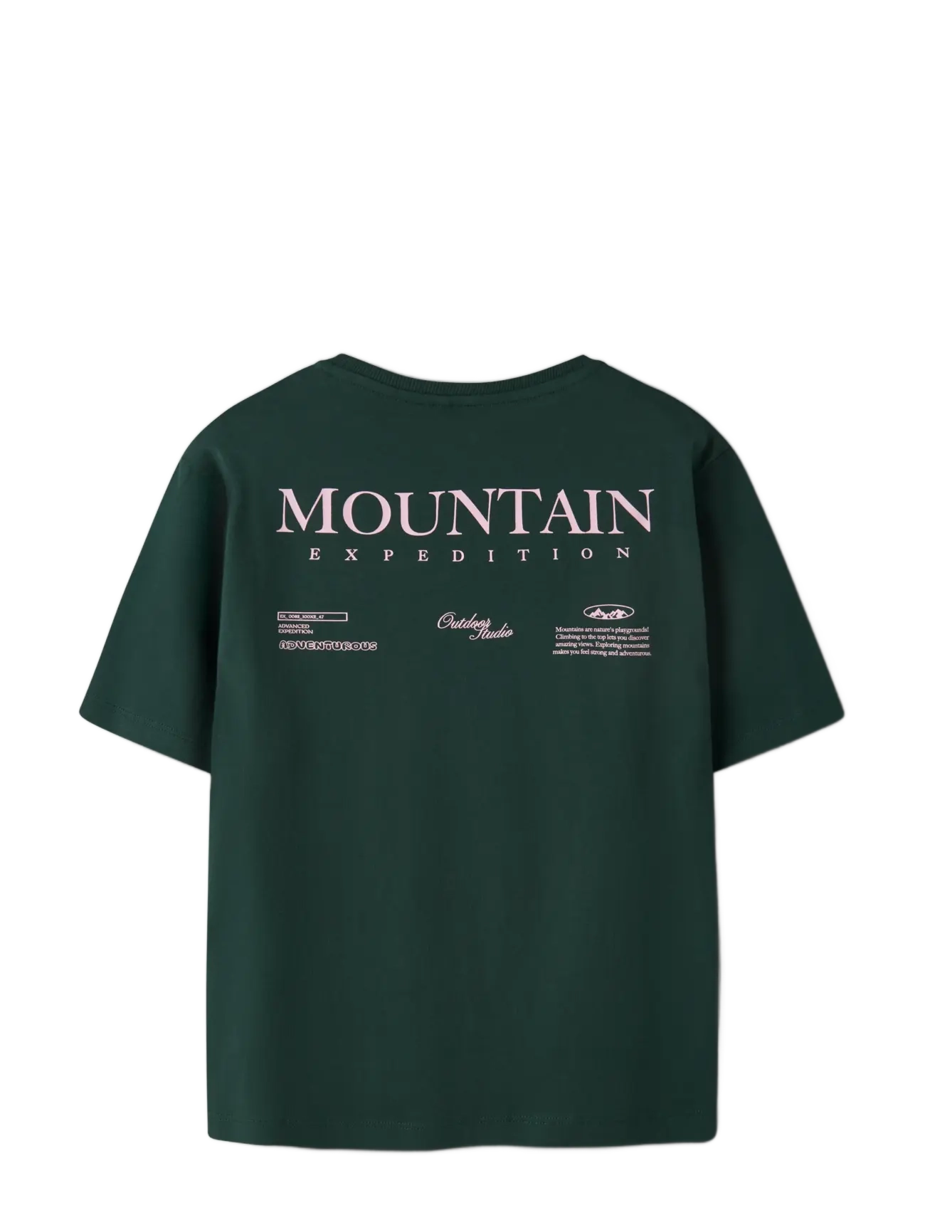 name it - NKMOHANNES SS NREG TOP BF - kortärmade t-shirts - pine grove - 1
