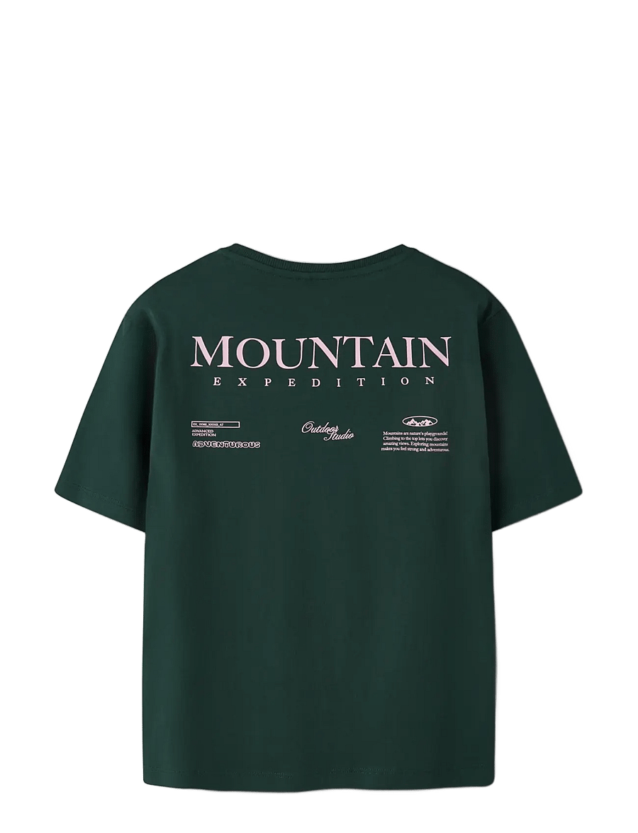 name it - NKMOHANNES SS NREG TOP BF - kortärmade t-shirts - pine grove - 1