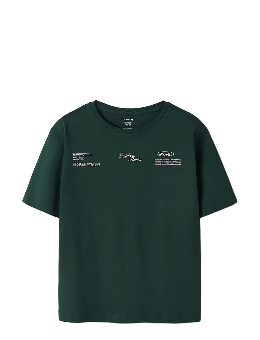 name it - NKMOHANNES SS NREG TOP BF - kortärmade t-shirts - pine grove - 2