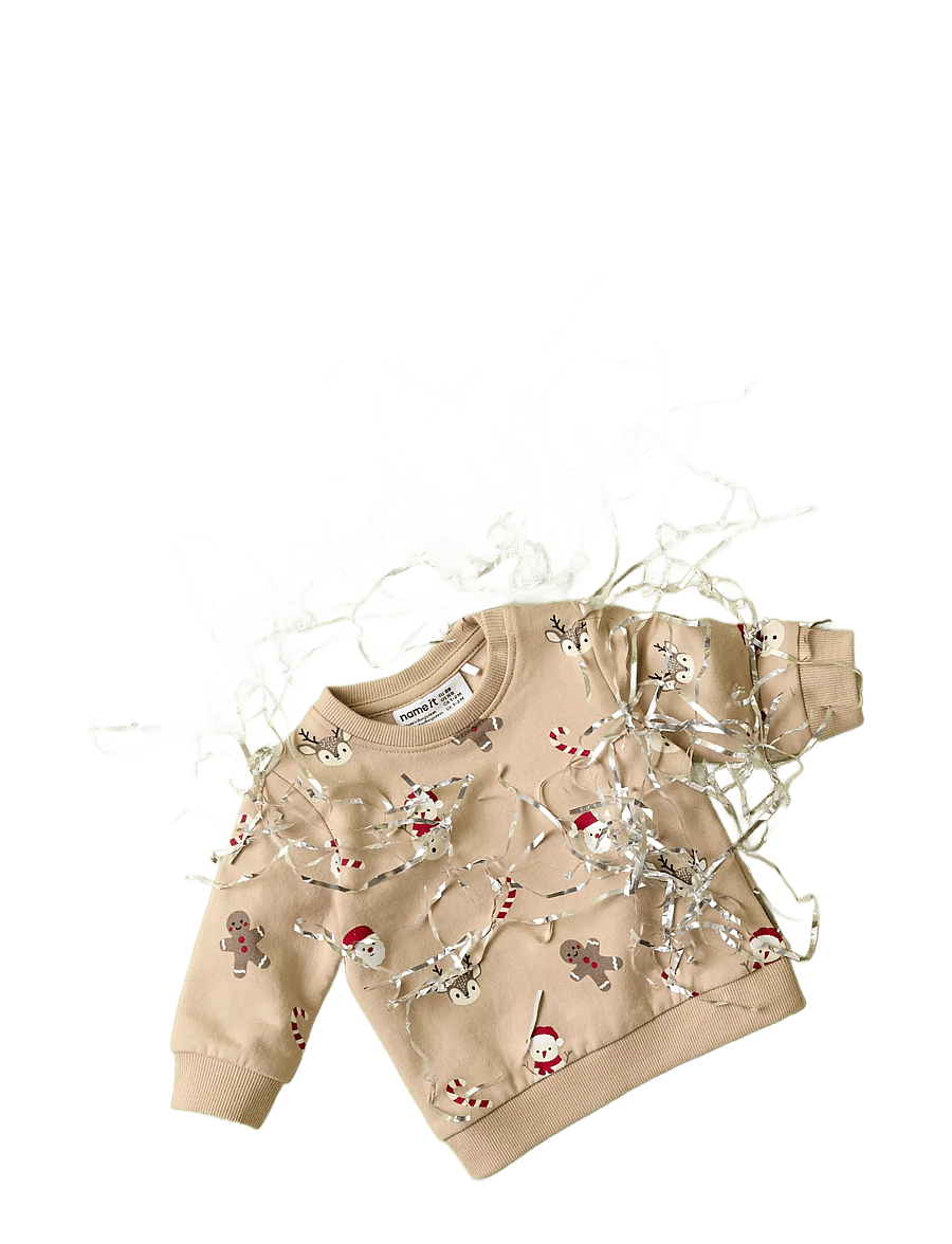 name it - NBNRULLER LS SWEAT BRU - sweatshirts - sesame - 2