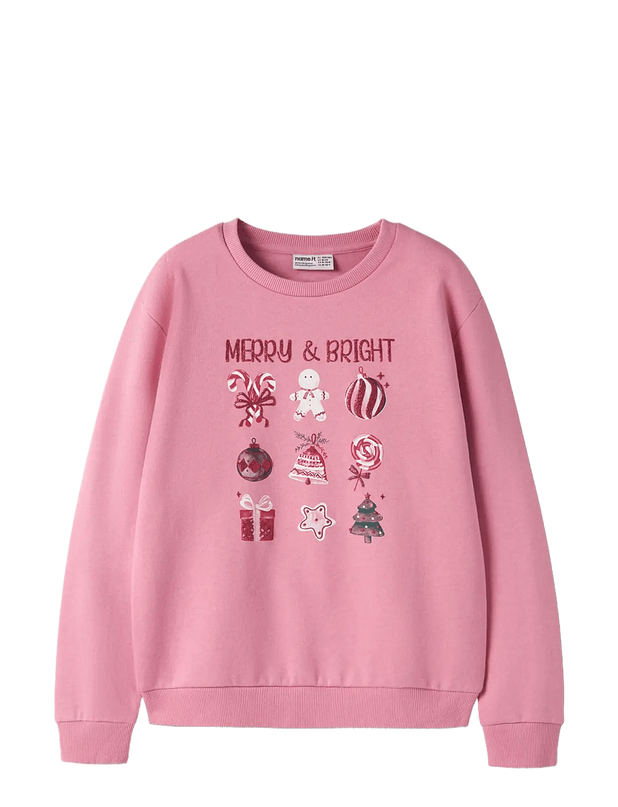 name it - NKFRAMBAM LS NREG SWEAT BRU BOX - wild rose - 2
