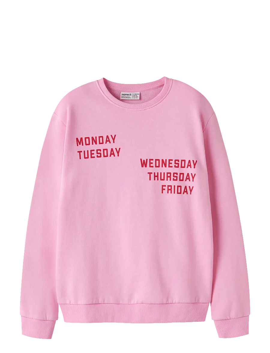 name it - NKFLIOCA LS NREG SWEAT BRU - begonia pink - 0