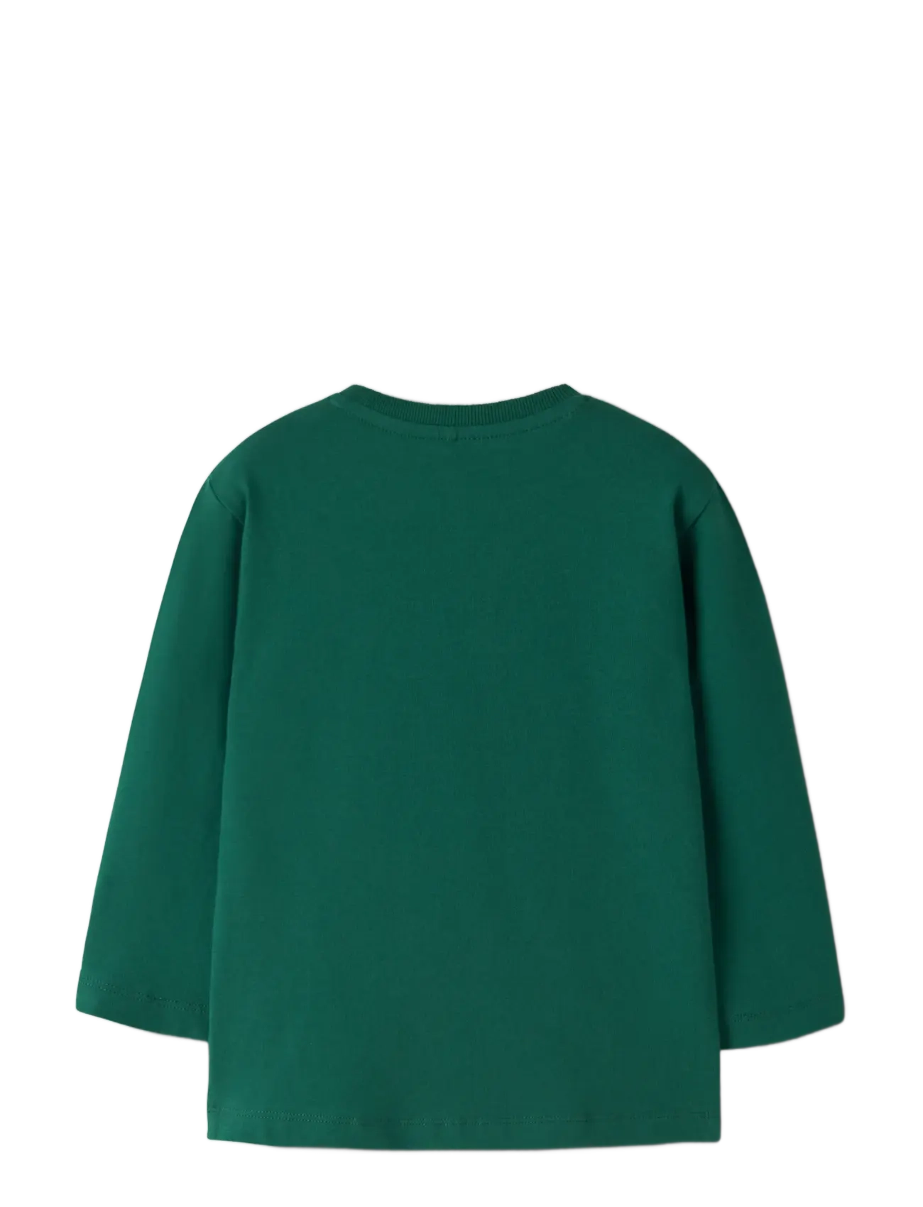 name it - NMMLINUS LS NREG TOP BOX - långärmade t-shirts - evergreen - 1