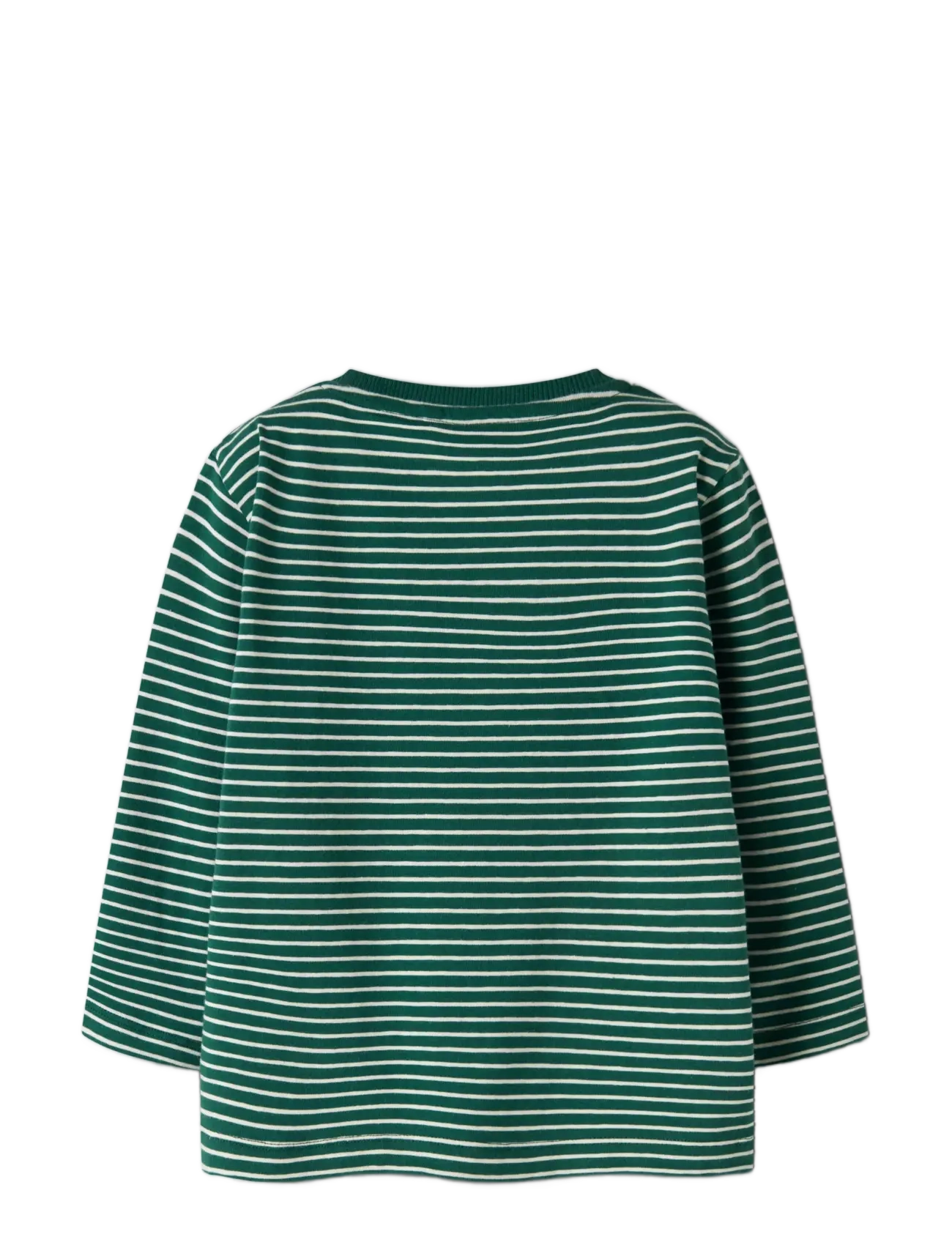 name it - NMMLOCHLAN LS NREG TOP - evergreen - 1
