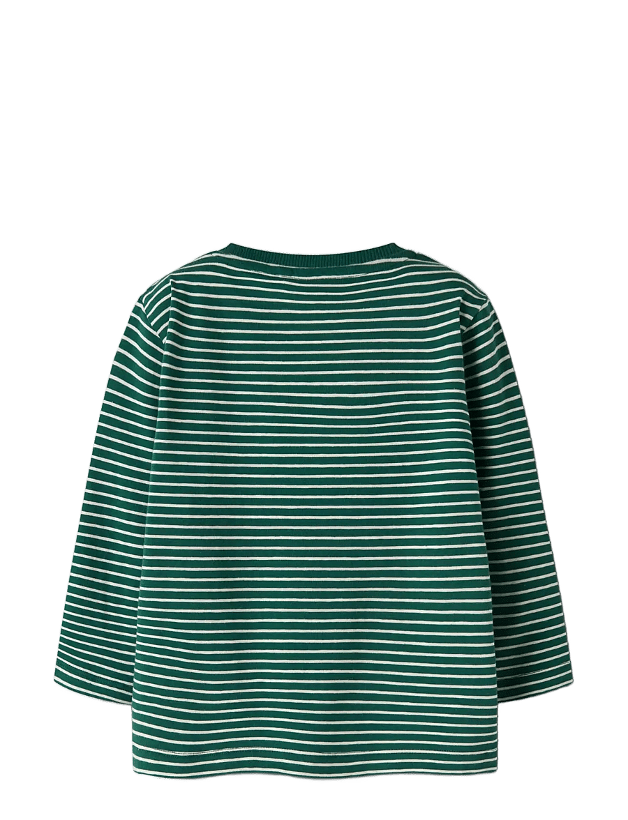 name it - NMMLOCHLAN LS NREG TOP - evergreen - 1