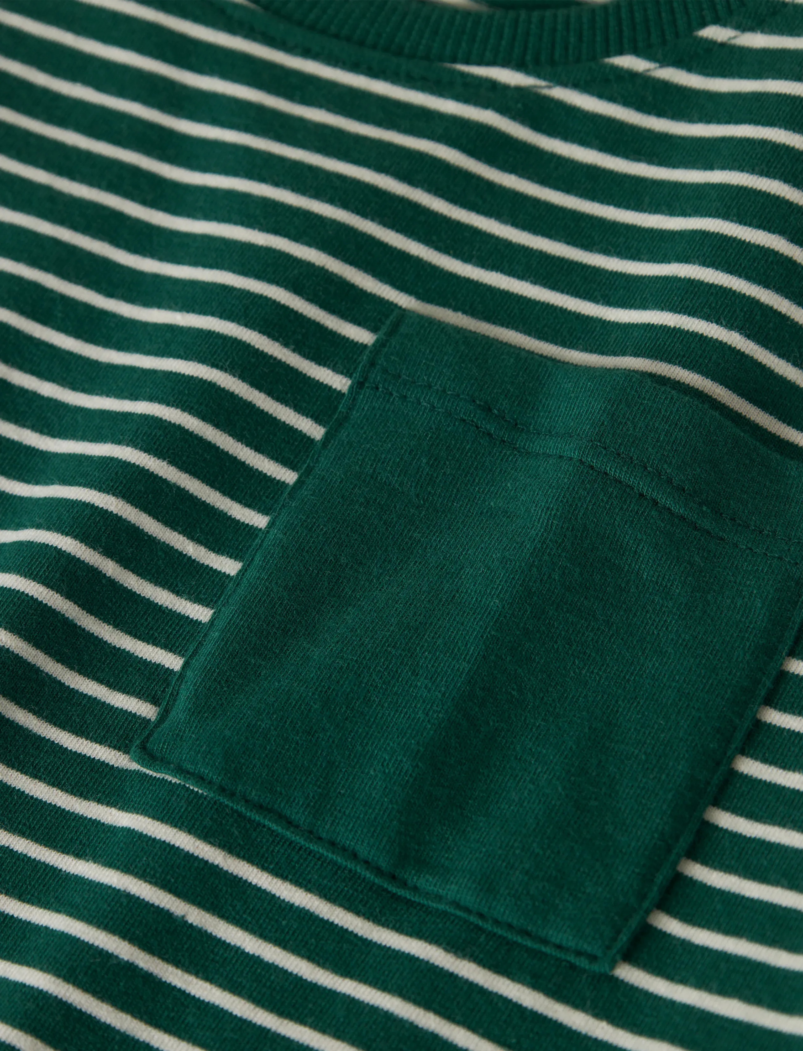 name it - NMMLOCHLAN LS NREG TOP - evergreen - 2