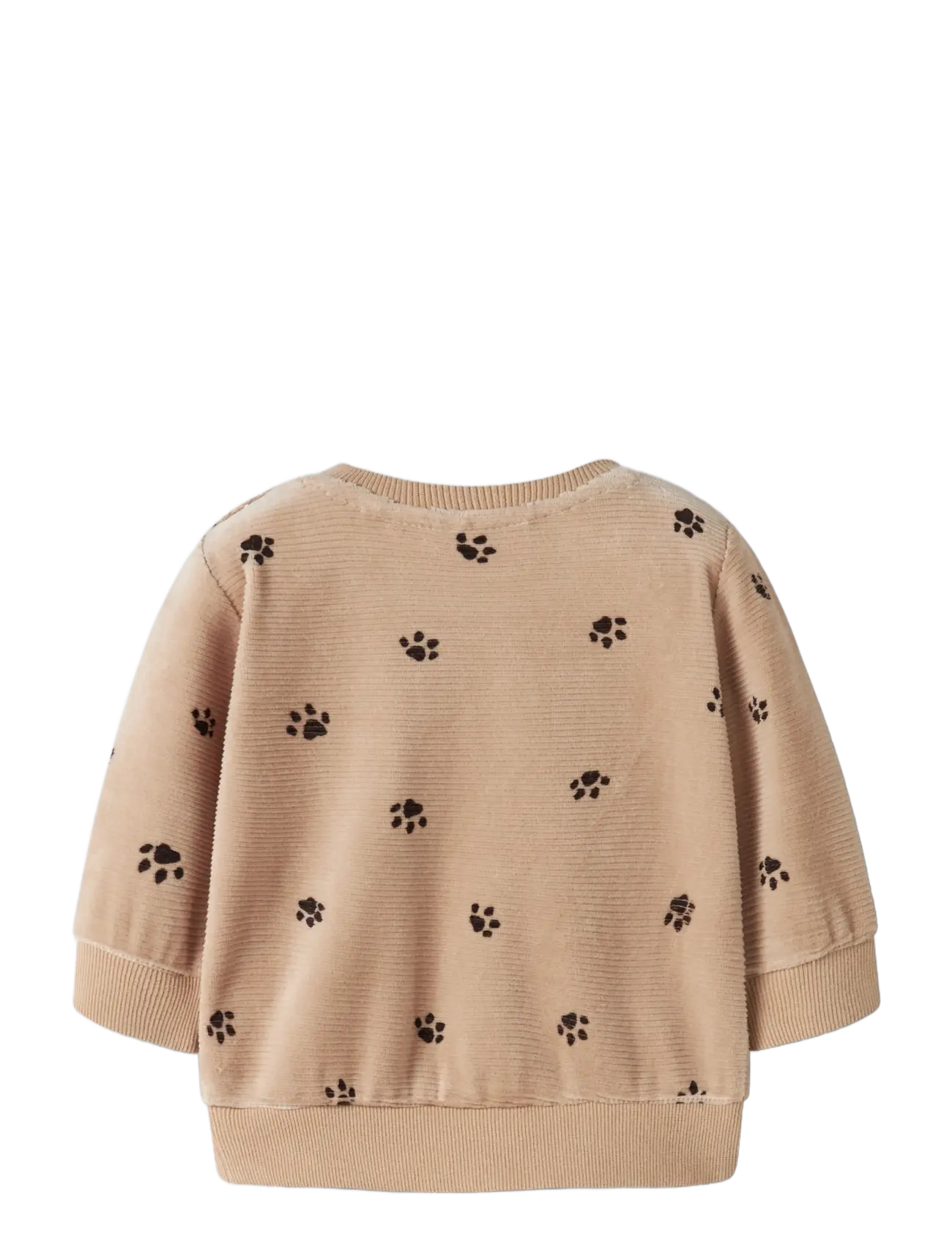 name it - NBMNORDEN VEL LS O-NECK - sweatshirts - sesame - 1