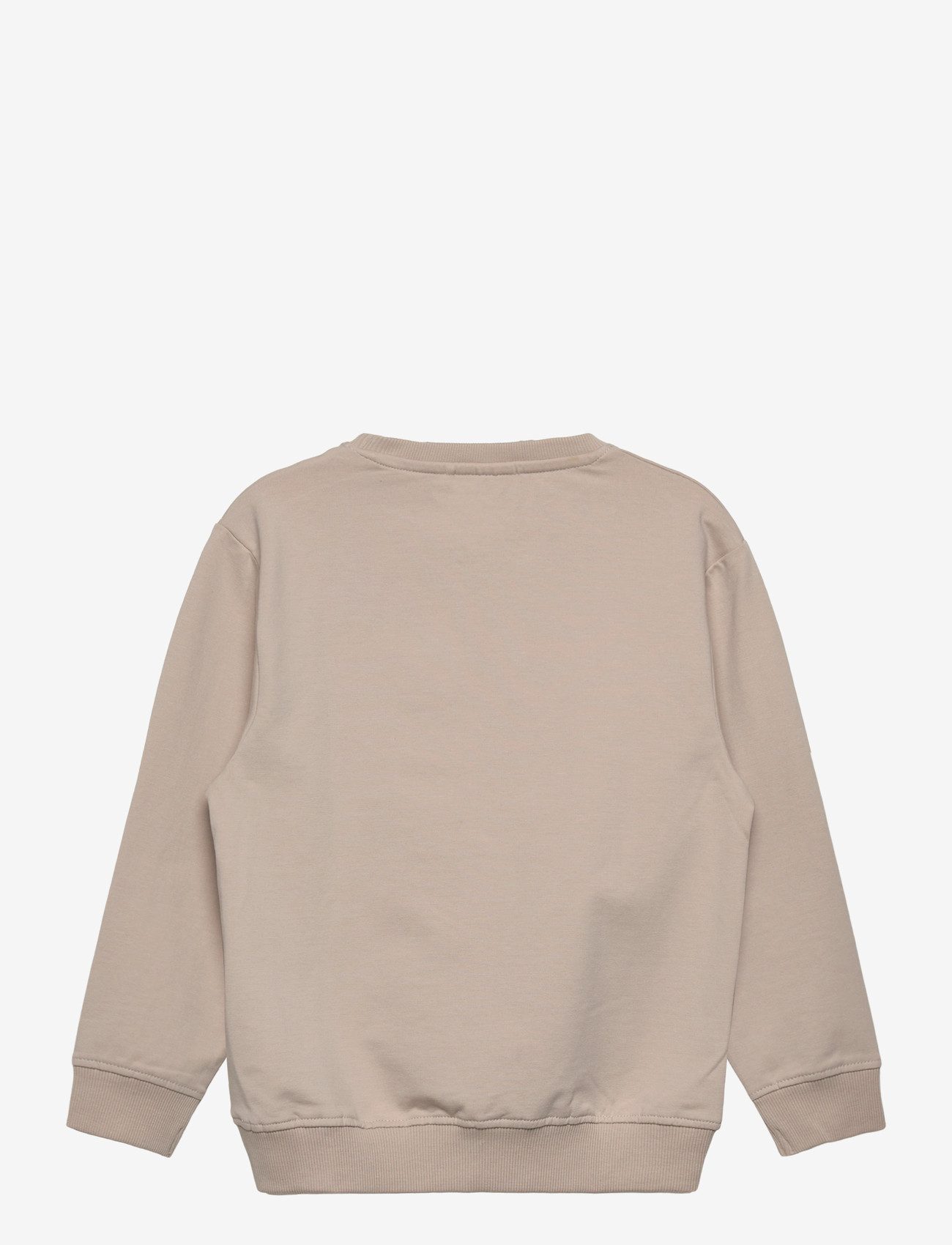 name it - NMMHOLE LS NREG SWEAT UNB - dressipluusid - chateau gray - 1