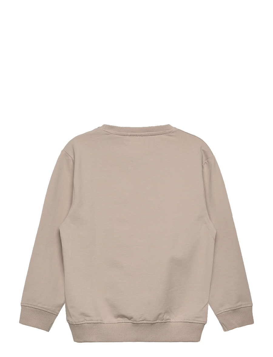 name it - NMMHOLE LS NREG SWEAT UNB - collegepaidat - chateau gray - 1