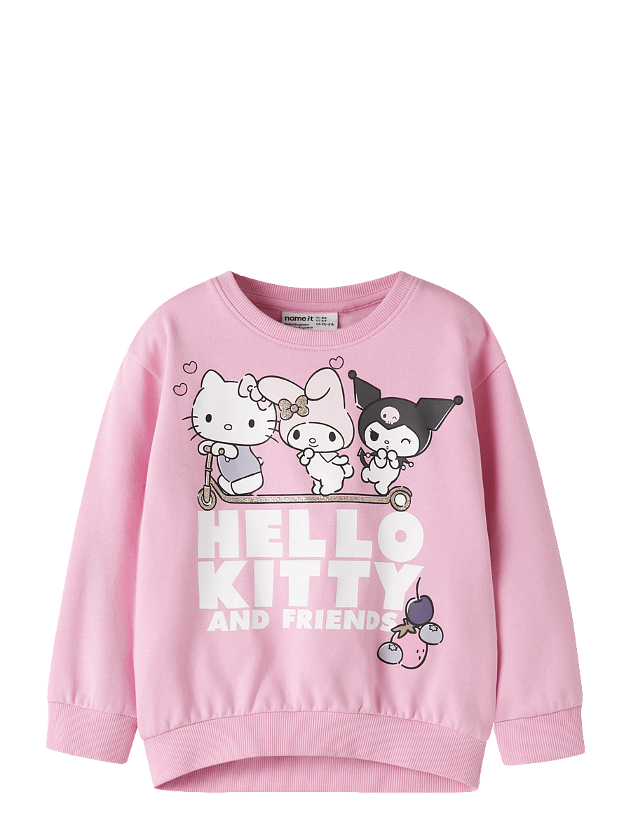 name it - NMFABARA HELLOK NREG SWEAT BRU NOOS SKY - dressipluusid - begonia pink - 0