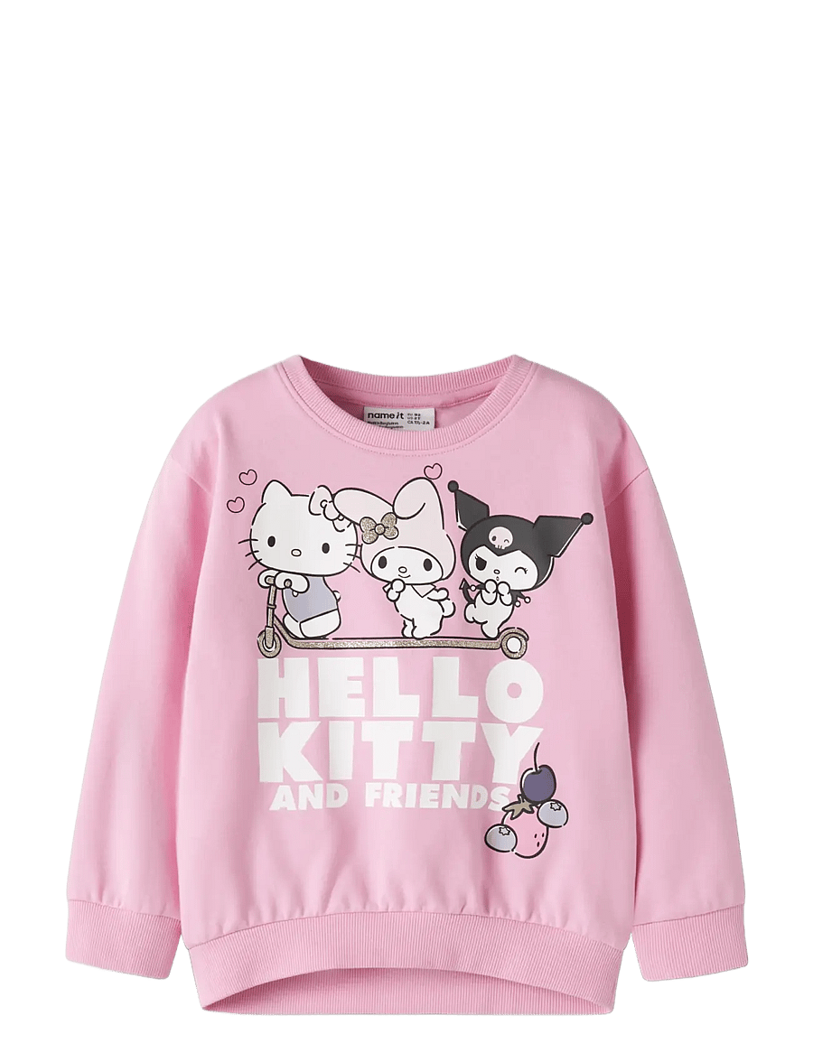 name it - NMFABARA HELLOK NREG SWEAT BRU NOOS SKY - dressipluusid - begonia pink - 2