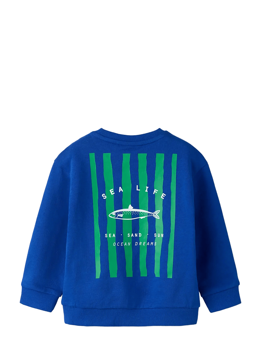 name it - NMMHADDIAN LS RLX SWE UNB BOX - sweatshirts - surf the web - 1