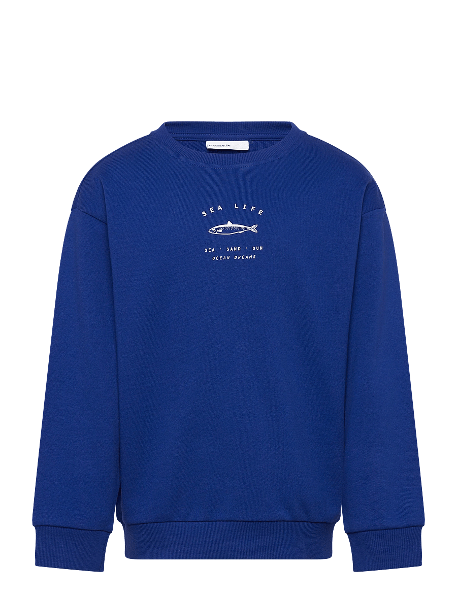name it - NKMHADDIAN LS RLX SWE UNB BOX - sweatshirts - surf the web - 1