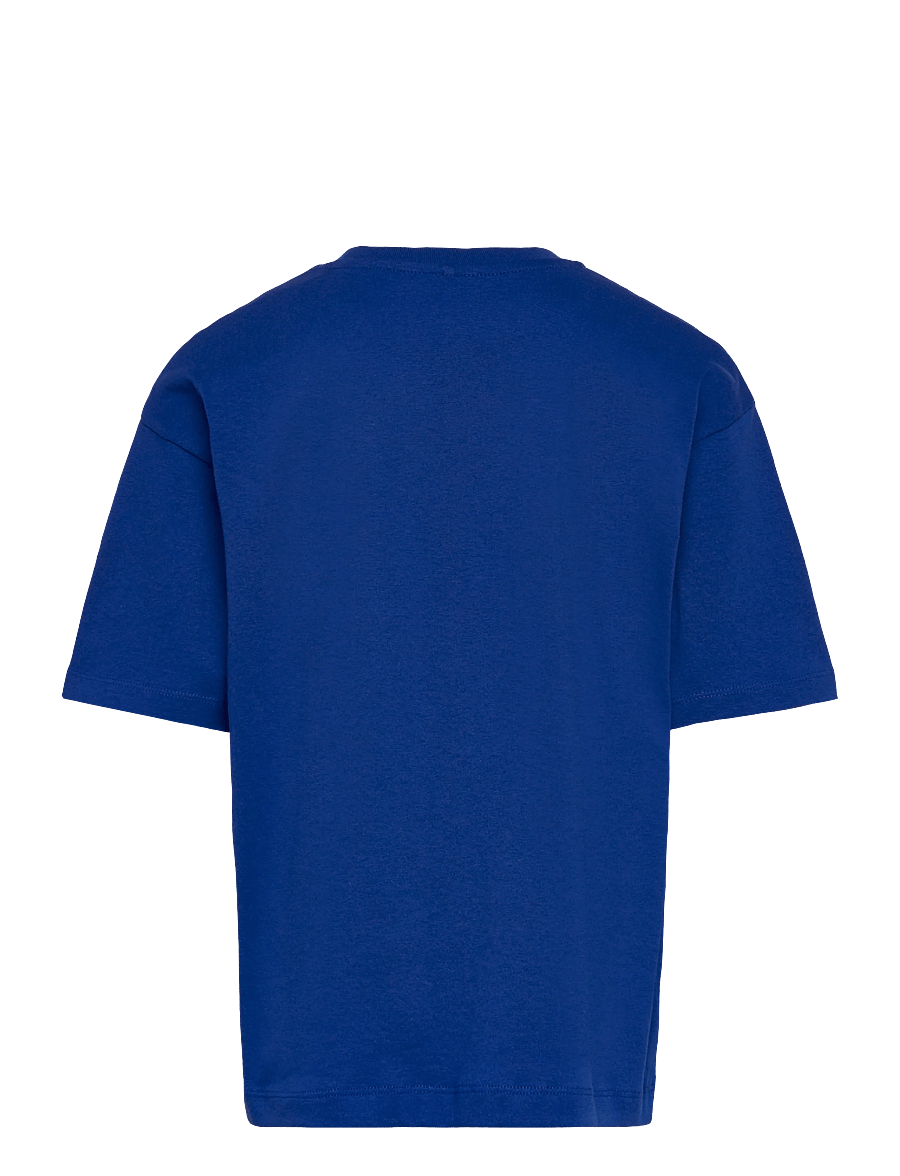 name it - NKMHEINRICK SS RLX TOP BOX - kortärmade t-shirts - jelly bean - 1
