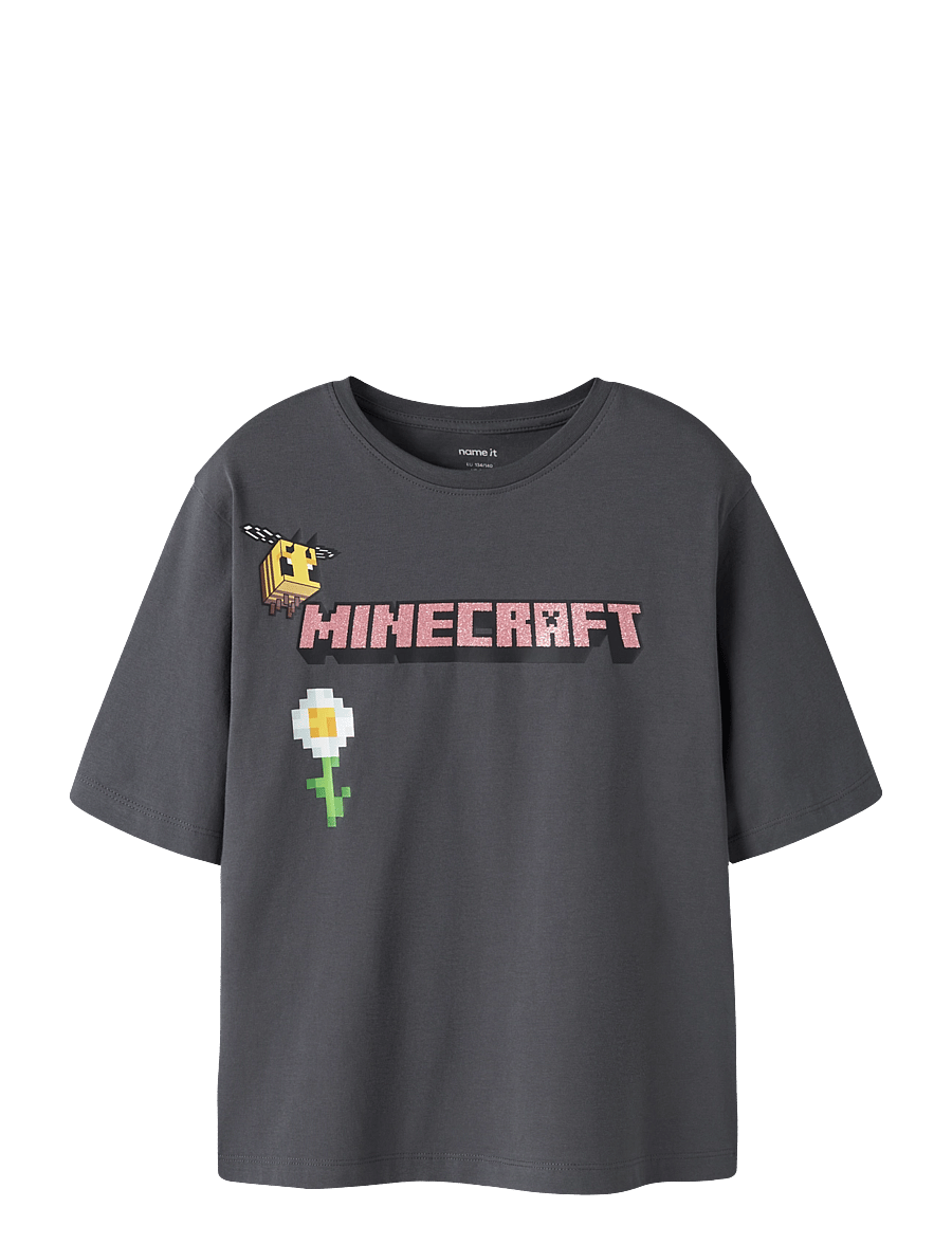 name it - NKFSYSSI MINECRAFT SS NREG TOP BIO - iron gate - 0
