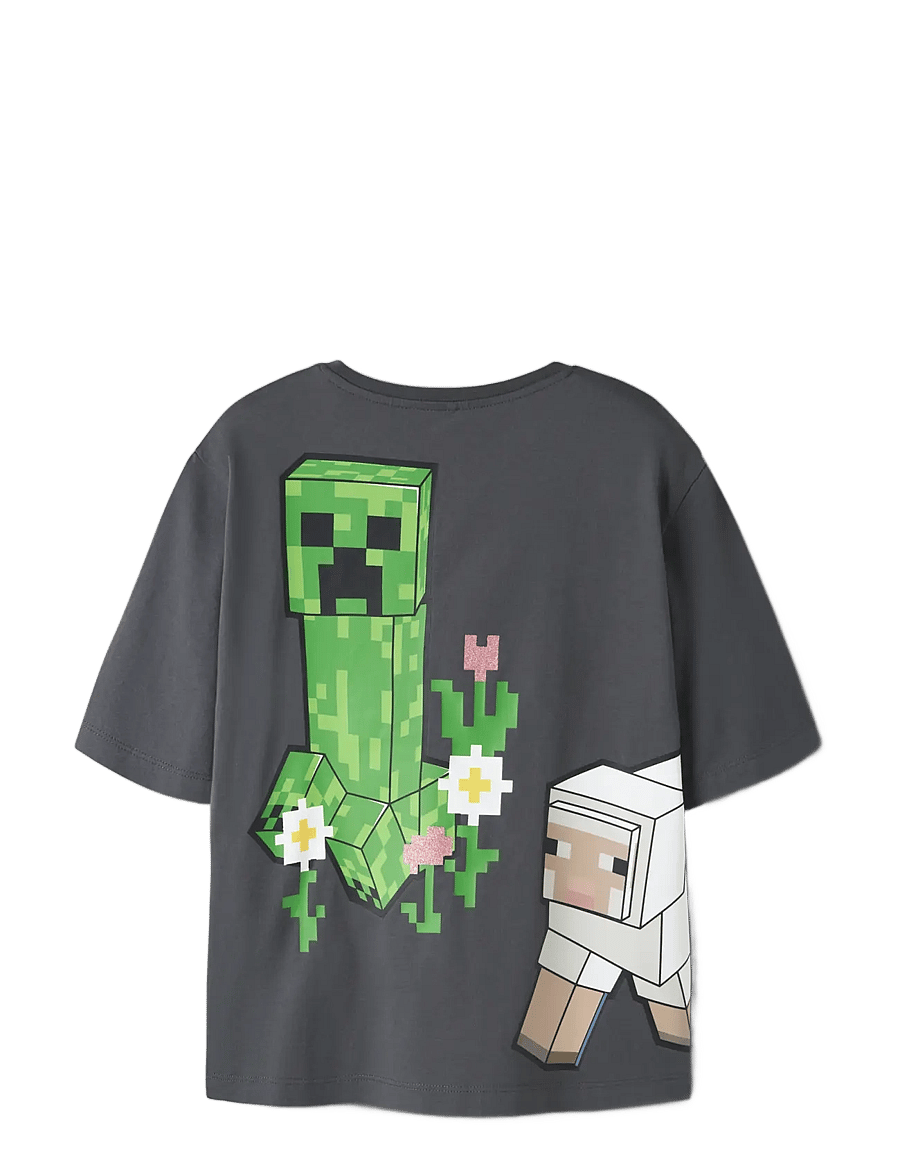 name it - NKFSYSSI MINECRAFT SS NREG TOP BIO - iron gate - 1