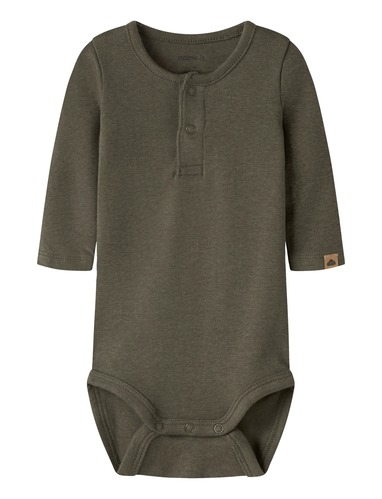 OLIVE NIGHT
