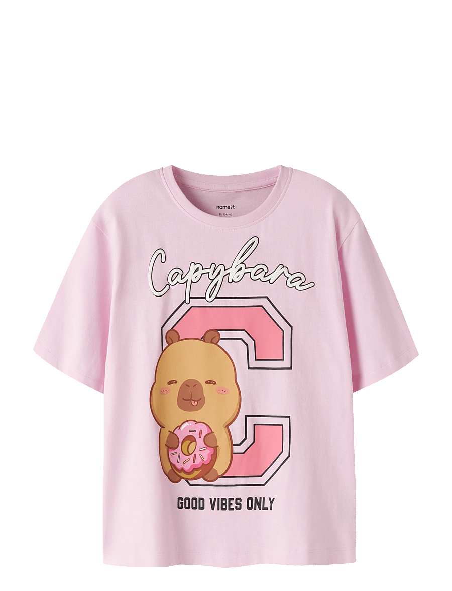 name it - NKFJYSSA CAPYBARA SS NREG TOP BOX SKY - lühikeste varrukatega t-särgid - pirouette - 0