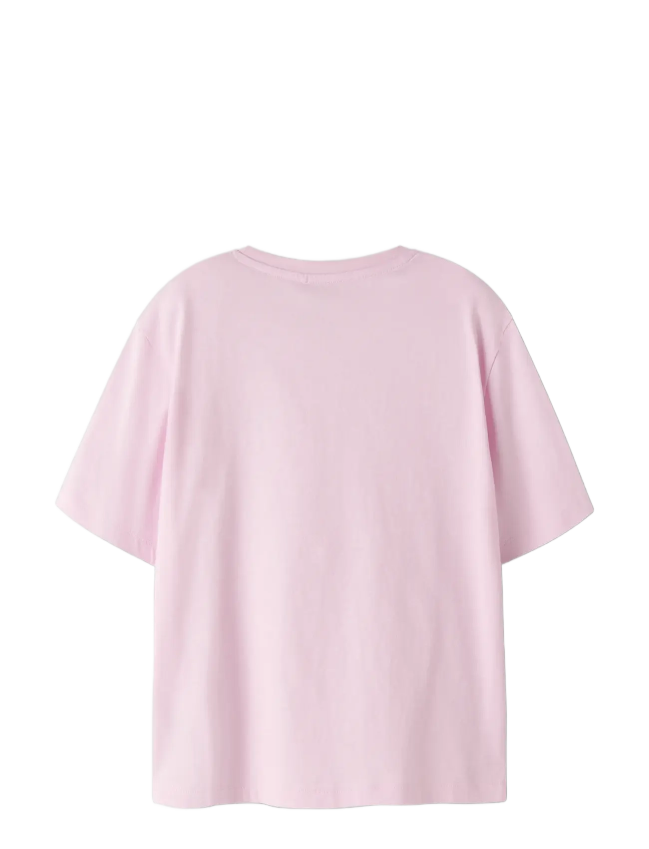 name it - NKFJYSSA CAPYBARA SS NREG TOP BOX SKY - lühikeste varrukatega t-särgid - pirouette - 1